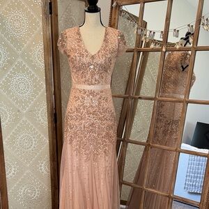 Adrianna Papell Blush Embellished Maxi Dress